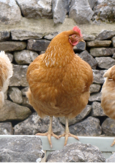 f641f67efa680afb475bb32af1ab6c16