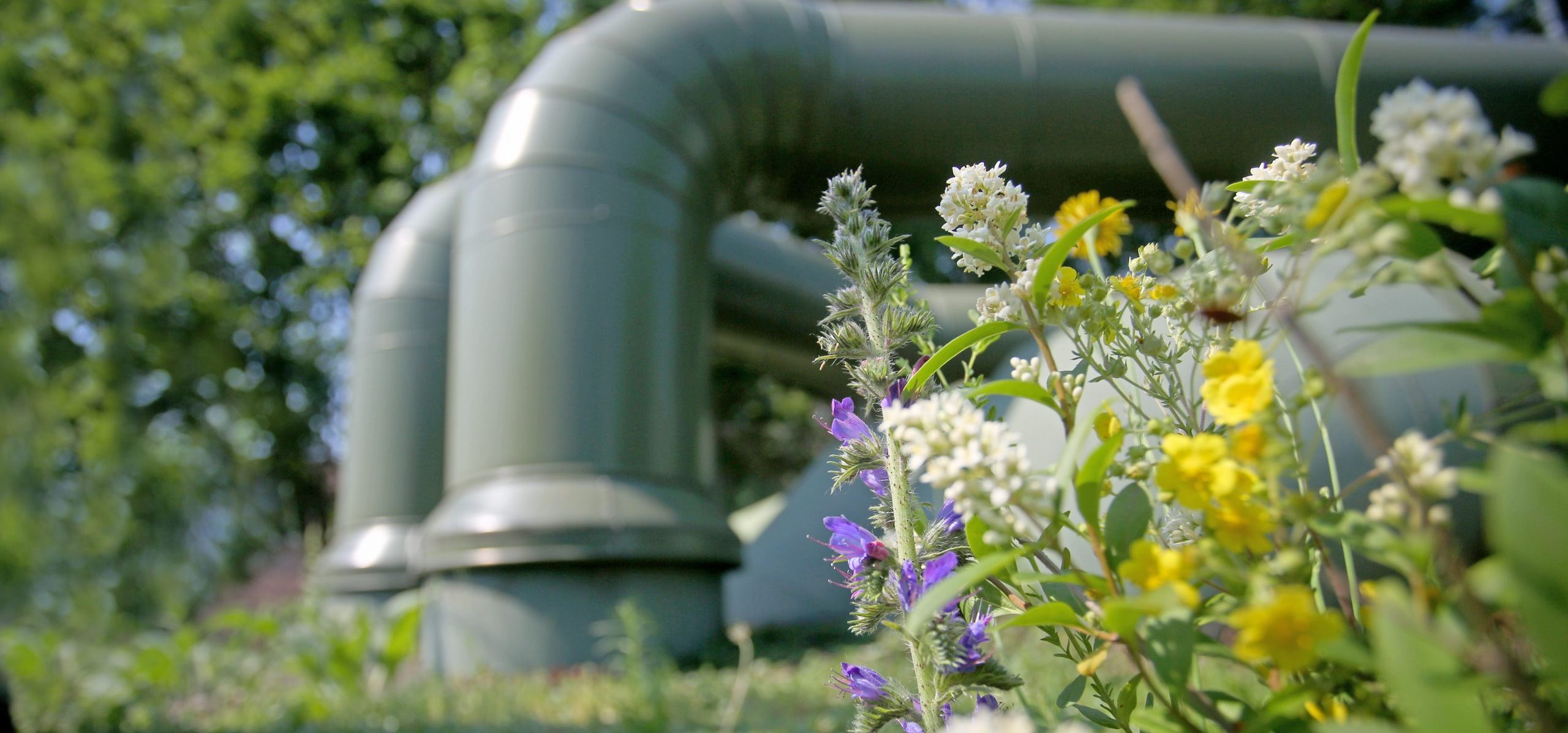 Energie waernwärme aus klärschlamm Fernwärme_002_Ina_Richter